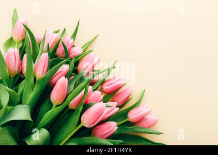 Tulipani colorati rosa su uno sfondo di colore chiaro con spazio per la copia. Vista dall'alto Foto Stock