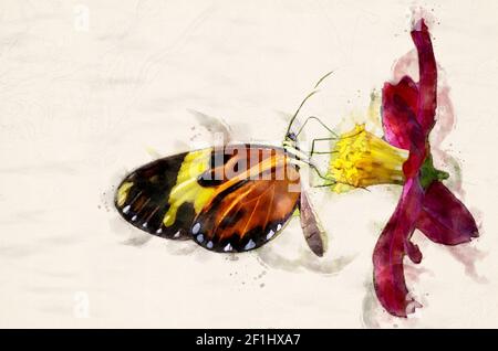 Illustrazione digitale colorata dell'acquerello a farfalla Foto Stock