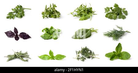 Spezie ed erbe fresche Foto Stock
