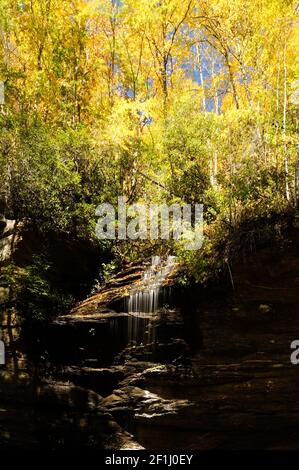 Slick roccia cade monti Appalachi in Pisgah National Forest in Carolina del Nord Foto Stock