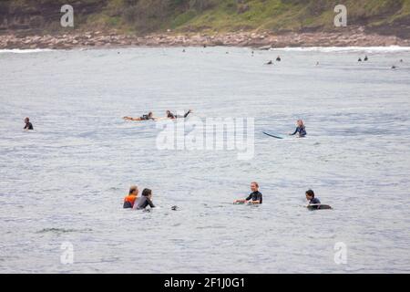 Surfers in acqua a Avalon Beach a Sydney in attesa Per la prossima ondata, Sydney, Australia Foto Stock