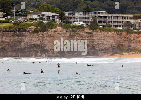 Surfers in acqua a Avalon Beach a Sydney in attesa Per la prossima ondata, Sydney, Australia Foto Stock