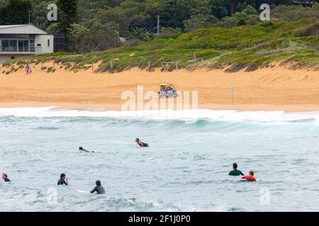 Surfers in acqua a Avalon Beach a Sydney in attesa Per la prossima ondata, Sydney, Australia Foto Stock