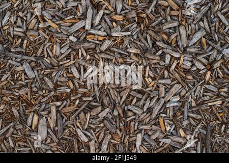 Trucioli di legno marrone per texture di fondo. Foto Stock