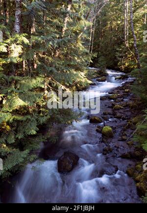 Il fiume Zigzag vicino al Monte Hood in Oregon. Foto Stock