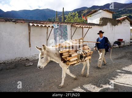 Chavin de Huantar, Ancash / Perù: 12 giugno, 2016 :Muleskinner peruviano e contadino porta i suoi prodotti a. Foto Stock