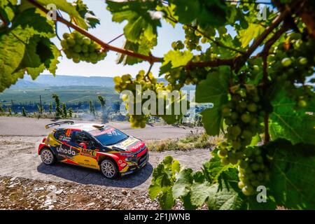 49 DE MEVIUS guillaume (bel), martijn WYDAEGHE (bel), Citroën C3 R5, azione durante il WRC World Rally Car Championship 2019, Rally di Germania dal 22 al 25 agosto, a Bostalsee - Photo Paulo Maria / DPPI Foto Stock