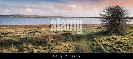 Una vista panoramica della luce serale sul Lago Colliford su Bodmin Moor in Cornovaglia. Foto Stock