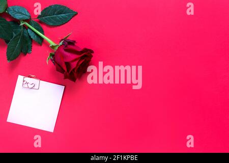 Rosa rossa su sfondo rosso con copyspace e adesivo con una graffetta e cuore, un promemoria su un foglio di nota. Un regalo per una donna in vacanza, un inv Foto Stock