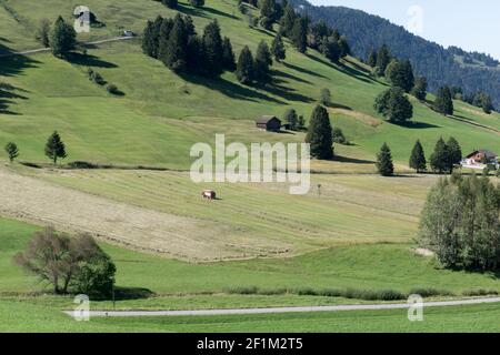 Coltivatori di montagna che tagliano prati e che raccolgono fieno e paglia in Le valli delle Alpi svizzere Foto Stock