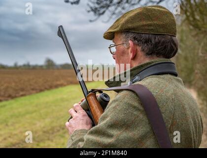 Lincolnshire, Inghilterra, Regno Unito. Un deerstalker finalmente luce guardando e avvistare cervi per l'abbattimento e la gestione come parte di un programma di conservazione Foto Stock