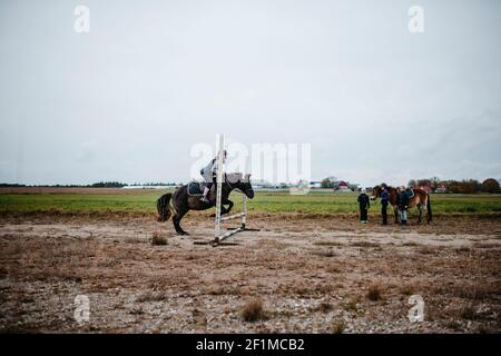 Cavaliere che salta sopra l'ostacolo Foto Stock