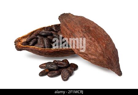 Baccello del cacao Foto Stock