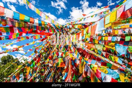 Molte colorate bandiere di preghiera buddista tibetane in Cina Shangri-la Yunnan Foto Stock