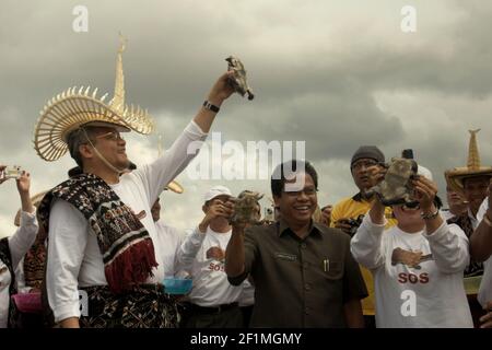 Isola di Rote, Indonesia. 16 luglio 2009. Il ministro indonesiano della silvicoltura, la sig.ra Kaban, e altri funzionari che rilasciano le tartarughe a collo di serpente dell'isola di Rote (Chelodina mccordi) sono tornati in cattività in uno degli habitat adatti, che è il lago Peto nel villaggio di Maubesi, durante un evento cerimoniale per salvare le specie criticamente minacciate dal commercio della fauna selvatica. Lago Pato, villaggio di Maubesi, rote Ndao regency, Nusa Tenggara Est, Indonesia. Foto Stock