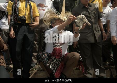 Isola di Rote, Indonesia. 16 luglio 2009. Il ministro indonesiano della silvicoltura, la sig.ra Kaban, e altri funzionari che rilasciano le tartarughe a collo di serpente dell'isola di Rote (Chelodina mccordi) sono tornati in cattività in uno degli habitat adatti, che è il lago Peto nel villaggio di Maubesi, durante un evento cerimoniale per salvare le specie criticamente minacciate dal commercio della fauna selvatica. Lago Pato, villaggio di Maubesi, rote Ndao regency, Nusa Tenggara Est, Indonesia. Foto Stock