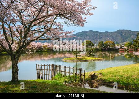 Laghetto Osawa con fiori di ciliegio ad Arashiyama a Kyoto, giappone Foto Stock