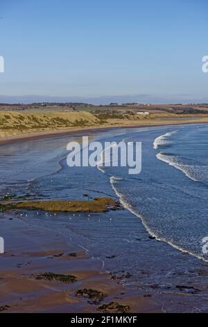 La spiaggia deserta di Lunan Bay che guarda a nord con affioramenti rocciosi esposti dalla marea in agguato, coperti da alghe e uccelli marini in acque calme. Foto Stock