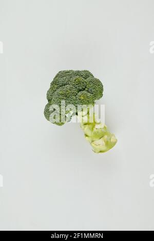 Testa di broccoli organici freschi su sfondo grigio chiaro, vista dall'alto Foto Stock