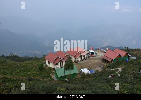 Soggiorno domestico con la piantagione biologica del tè a Darjeeling con Blissful E scintillante vista dell'Himalaya Foto Stock