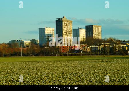 Vista dello skyline del quartiere di Francoforte "Frankfurter Berg" dal fiume Bonames / Nidda. L'area tra fa parte della cintura verde (Gruenguertel) Foto Stock