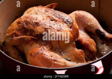 pollo arrosto intero in citronella e latte di cocco, forno olandese Foto Stock