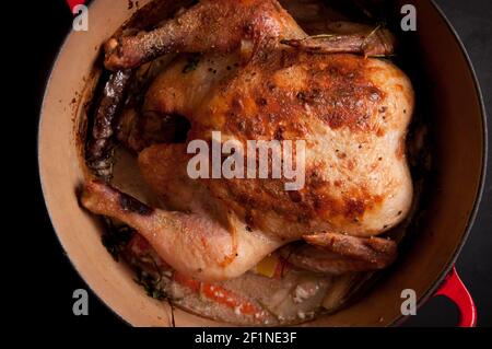 pollo arrosto intero in citronella e latte di cocco, forno olandese Foto Stock