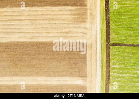 Forme geometriche astratte di pacchi agricoli di diverse colture in colori giallo e verde. Ripresa aerea dal drone direttamente sopra il campo. Foto di alta qualità Foto Stock