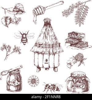 Set di elementi in miele disegnati a mano con api e pettini per alveare rami di alberi erbe isolato vettore illustrazione Illustrazione Vettoriale
