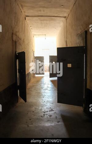 Molte porte di ferro aperte in una prigione. Luce che splende dalle finestre. Interno. Bloccare in caso di pandemia Foto Stock