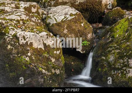 Cascate di Aira Force in autunno, Lake District, Cumbria, Inghilterra Foto Stock