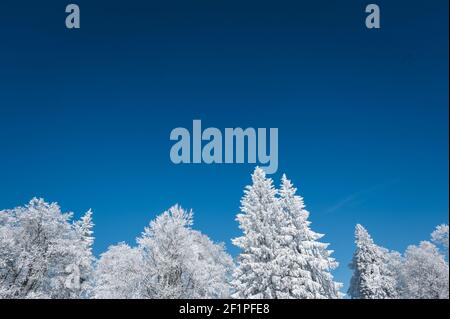 Paesaggio invernale da sogno a Les Prés d'Orvin, Giura svizzero Foto Stock