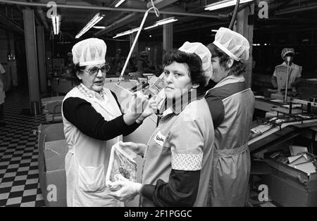 15 ottobre 1981, Sassonia, Delitzsch: Donne che lavorano alla produzione del VEB Schokoladenwerk a Delitzsch alla fine del 1981. Data esatta della fotografia non nota. Foto: Volkmar Heinz/dpa-Zentralbild/ZB Foto Stock