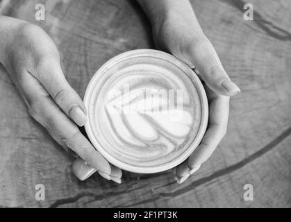 Caffetteria e caffetteria. Cappuccino a mani femminili. Disegno sulla superficie del latte. Sfida per l'artista latte. Vista dall'alto della tazza da caffè sul tavolo in legno. Bellissimo motivo cuore creato da microschiuma. Foto Stock