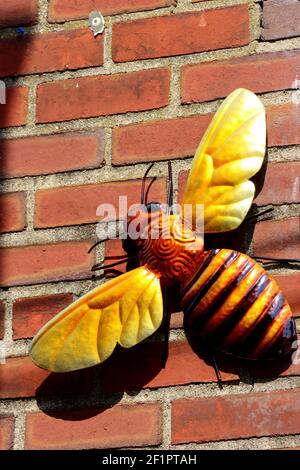 Il giallo è un colore brillante dominante e prominente in queste immagini. Foto Stock