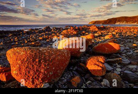 2000 Cape Jervis South Australia - Rust lichen coperto massi sulla spiaggia Morgan al tramonto vicino Capo Jervis South Australia. Morgan Beach è una spiaggia di sabbia bianca di 800 m di lunghezza a ovest, annidata sotto 50 m di alta scogliera, su cui una duna di sabbia è quasi riuscito a raggiungere la cima. C'è una strada di ghiaia da Capo Jervis al promontorio che si affaccia sull'estremità meridionale della spiaggia che è coperta da questi massi ricoperti di licheni rossi. Foto Stock