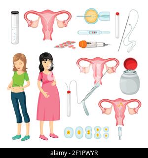 Inseminazione artificiale elementi cartoni animati insieme con donne sistema riproduttivo femminile strumenti e strumenti medicali illustrazione vettoriale isolata Illustrazione Vettoriale