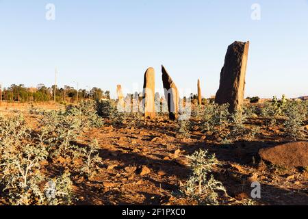 Etiopia, Axum - campo di Gudit stelae Foto Stock