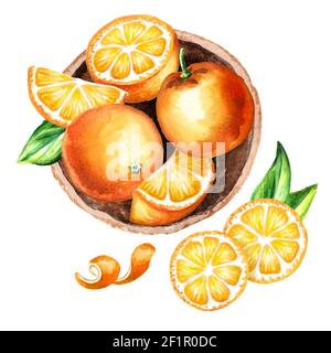 Frutta fresca di Orangess nella composizione con vista dall'alto del piatto. Illustrazione disegnata a mano con acquerello Foto Stock