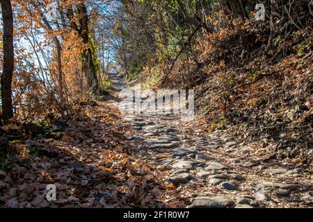 Antico romano 'Ochsentodweg' (Sentiero dei morti delle buoi) nel villaggio di Tirolo, vicino a Merano, Sout Tirolo, Italia Foto Stock