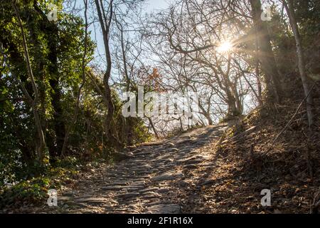 Antico romano 'Ochsentodweg' (Sentiero dei morti delle buoi) nel villaggio di Tirolo, vicino a Merano, Sout Tirolo, Italia Foto Stock