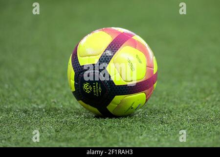 Ligue 1 Conforama palla illustrazione durante il campionato francese L1 partita di calcio tra Parigi Saint Germain e Stade Rennais il 27 gennaio 2019 allo stadio Parc Des Princes a Parigi, Francia - Foto Stephane Allaman / DPPI Foto Stock