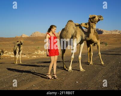 Ragazza in abito rosso nel deserto di Dubai con cammelli selvaggi, moda e natura Foto Stock
