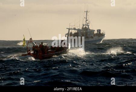 CAMPAGNA GREENPEACE NELLA MANICA CONTRO LA PESCA DEL TWIN TRAWLER PER IL BASSO DI MARE CHE STA UCCIDENDO GRANDI NUMERI DI COMONE DELFINI.23 MARZO 2005 TOM PILSTON Foto Stock