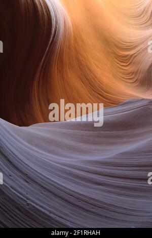 Arenaria colorata erosa, Antelope Canyon inferiore, Hasdestwazi, LeChee Chapter, Navajo Nation, Arizona Foto Stock