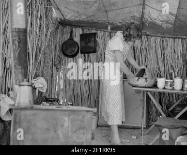 Rifugiati che vivono in un campo di fossa. Imperial County, California - Fotografia di Dorotea Lange Foto Stock