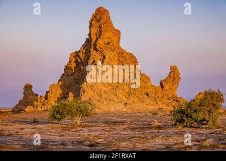 Camini di pietra calcarea al lago Abbe, Gibuti al tramonto. Foto Stock