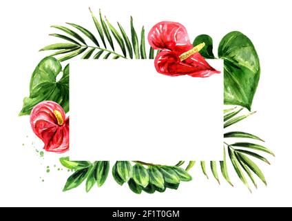 Tropical card, invito al matrimonio, salva la data, grazie, brochure, invita modello e sfondo. Immagine isolata disegnata a mano con acquerello Foto Stock