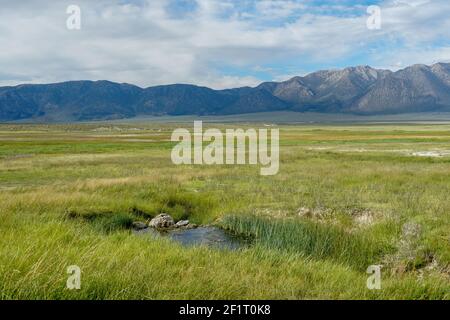 Sorgenti termali naturali di Long Valley, Mammoth Lakes, Mono County, California. STATI UNITI Foto Stock