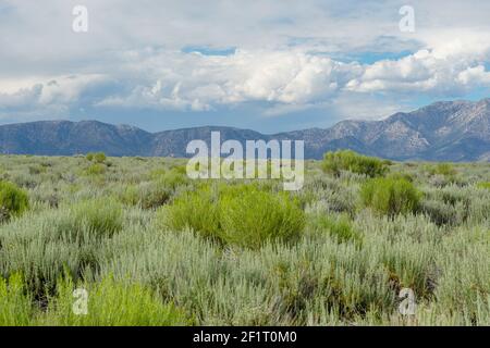 Lunga valle vicino al lago Crowley, Mono County, California. STATI UNITI. Foto Stock